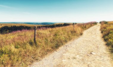 Kara Orman, Almanya: Doğal park Feldbergsteig