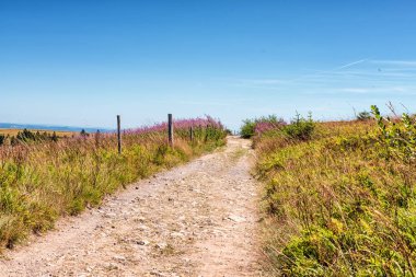 Kara Orman, Almanya: Doğal park Feldbergsteig