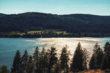 Schluchsee göle Alman Kara Orman