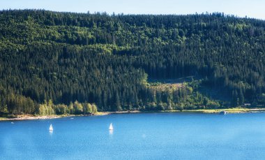 Schluchsee göle Alman Kara Orman