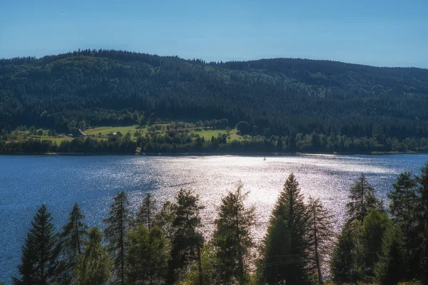 Lago Schluchsee Nella Foresta Nera Tedesca — Foto Stock