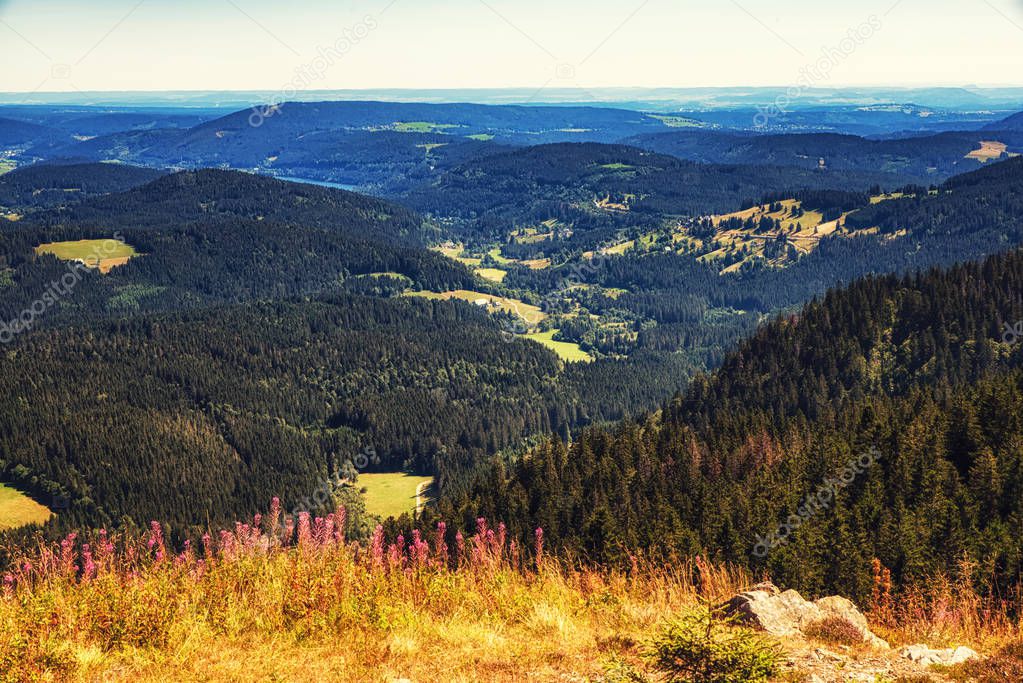 Panoramic View from the Feldberg in the Black Forest, Germany