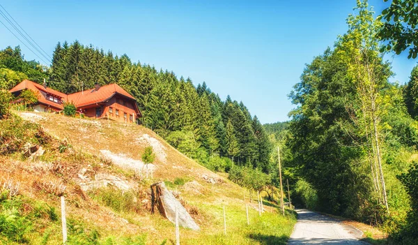 Traditional Black Forest house on a sunny day