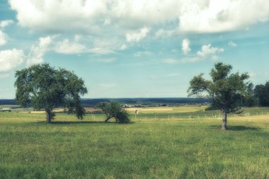 Bir yaz gününde Schwarzwald (Kara Orman) manzara