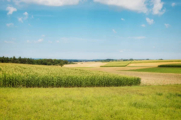 Hermosos Campos Trigo Granos Maíz Paisaje Agrícola Alemania — Foto de Stock