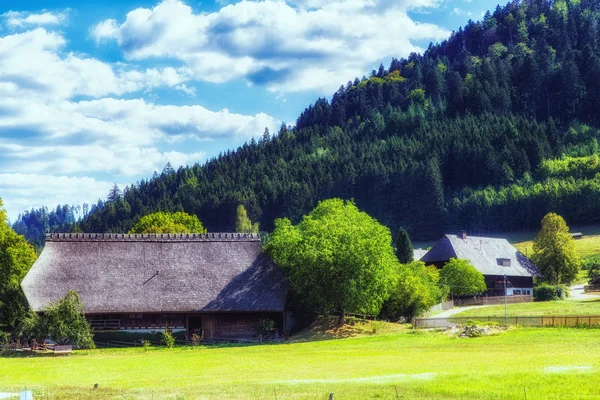 Una Granja Tradicional Selva Negra Sur Alemania Verano — Foto de Stock