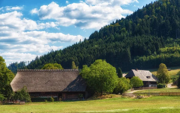 Una Granja Tradicional Selva Negra Sur Alemania Verano — Foto de Stock