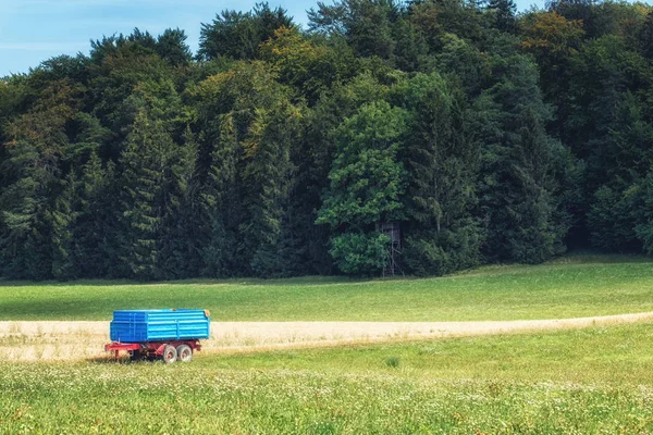 Hermosos Campos Trigo Granos Maíz Paisaje Agrícola Alemania — Foto de Stock