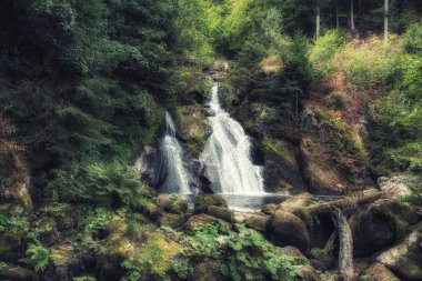 Triberg Falls bir iniş 163 m ile Almanya'da şelaleler en yüksek biridir (vasıl 711 ve 872 metre deniz seviyesinden ve Kara Orman bölgesinde bir dönüm noktası olduğunu.