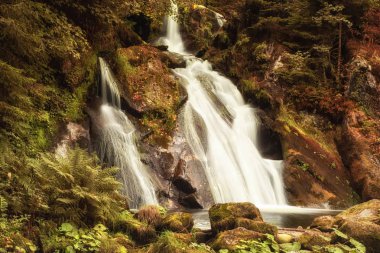 Triberg Falls bir iniş 163 m ile Almanya'da şelaleler en yüksek biridir (vasıl 711 ve 872 metre deniz seviyesinden ve Kara Orman bölgesinde bir dönüm noktası olduğunu.