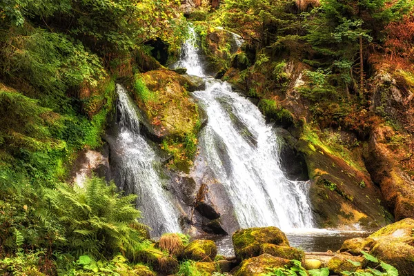 Triberg Falls Uma Das Cachoeiras Mais Altas Alemanha Com Uma — Fotografia de Stock