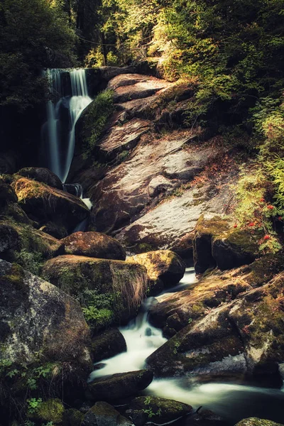 Der Triberger Wasserfall Ist Einer Der Höchsten Wasserfälle Deutschlands Mit — Stockfoto