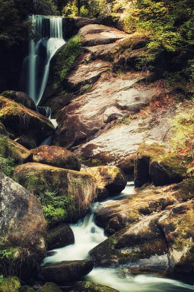 Der Triberger Wasserfall Ist Einer Der Höchsten Wasserfälle Deutschlands Mit — Stockfoto