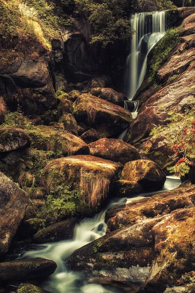Der Triberger Wasserfall Ist Einer Der Höchsten Wasserfälle Deutschlands Mit — Stockfoto