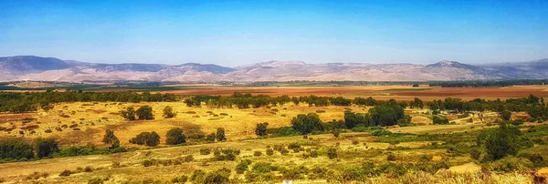 Vue vue depuis la montagne Bental, Hauteurs du Golan, Israël, Moyen-Orient — Photo