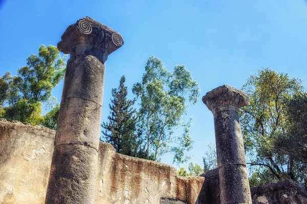 The ruins of the talmudic Synagogue at Katzrin Archaeological Pa — Stock Photo, Image