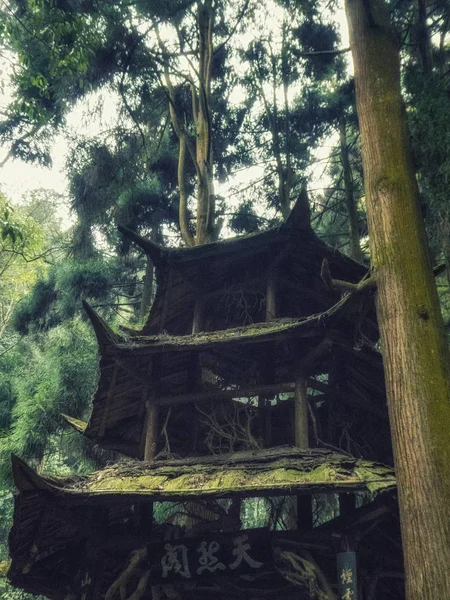 Gazebo en un bosque, Monte Qingcheng, Dujiangyan, Provincia de Sichuan — Foto de Stock