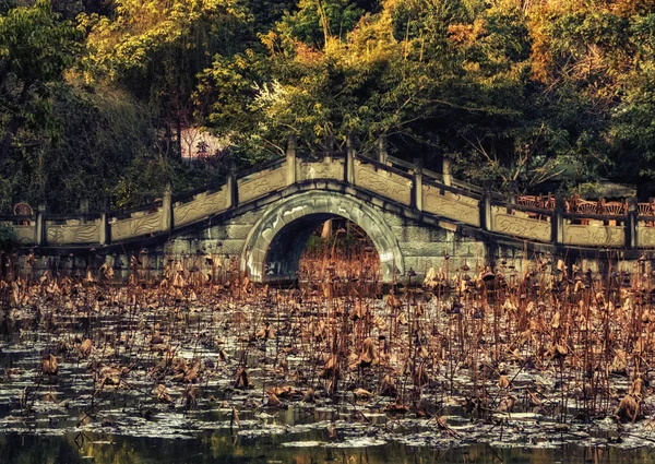 Culture Park, Chengdu, China — Stockfoto