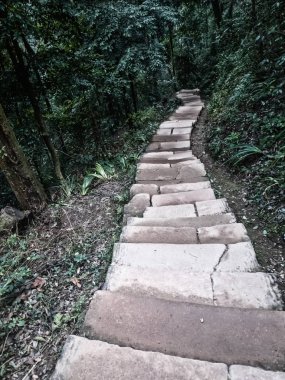 Mount Qingcheng'deki patika, Çin 