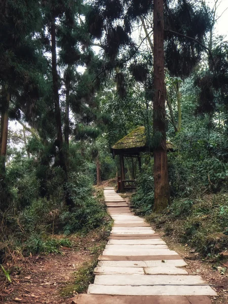 Sendero en el Monte Qingcheng, China — Foto de Stock