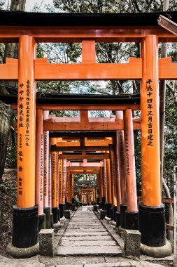 Fushimi inari shine bin torii kapısı, Kyoto, Japonya