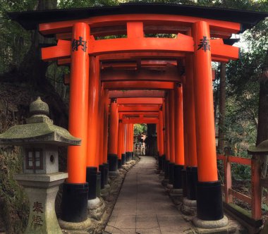 Kırmızı yakın gates geçit fushimi Inari taisha tapınak KY