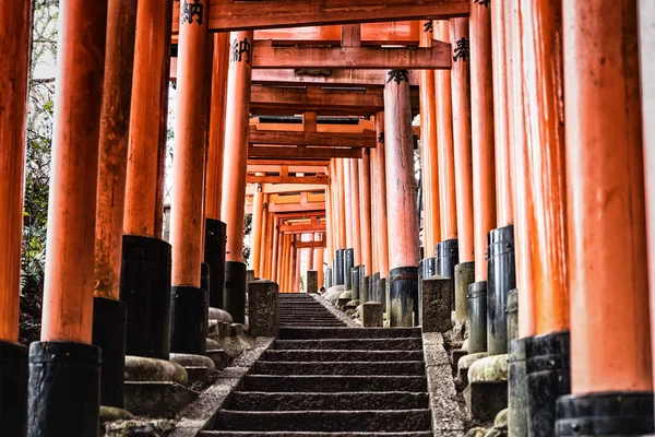 Der rote torii gates Gehweg am fushimi inari taisha-Schrein in ky — Stockfoto