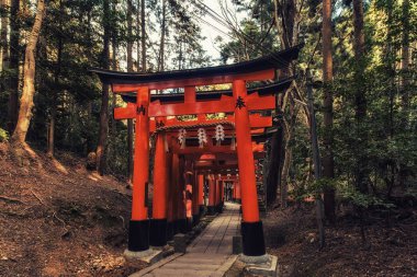 Fushimi Inari taisha tapınak torii gates Kyoto, Japonya.