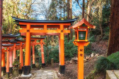 Fushimi inari shine bin torii kapısı, Kyoto, Japonya