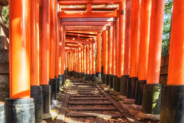 Santuário de fushimi inari em kyoto, japão — Fotografia de Stock