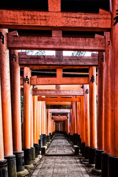 Fushimi inari-schrein in kyoto, japan — Stockfoto