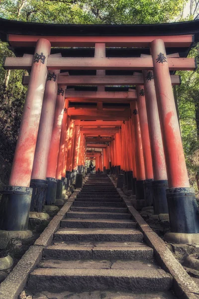 Torii Gates leder till yttre helgedom, Fushimi Inari Taisha — Stockfoto