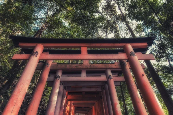 Bramy Torii prowadzące do zewnętrznego sanktuarium, Fushimi inari Taisha — Zdjęcie stockowe