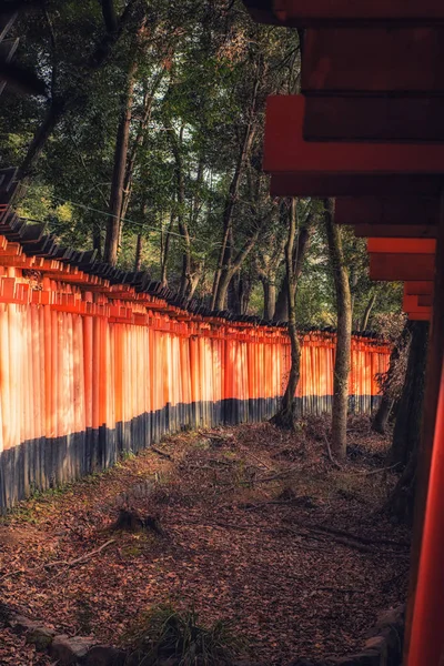 Fushimi Inari shrine in Kyoto, Japan — Stock Photo, Image