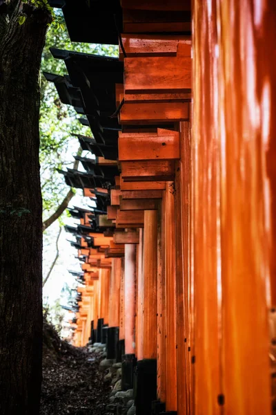 Fushimi inari taisha shrine in Kyoto, Japan — Stock Photo, Image