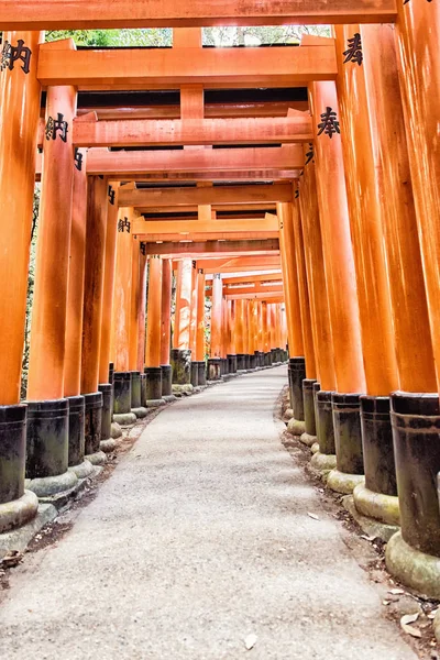 Fushimi Inari Taisha Schrein torii Tore in Kyoto, Japan. — Stockfoto