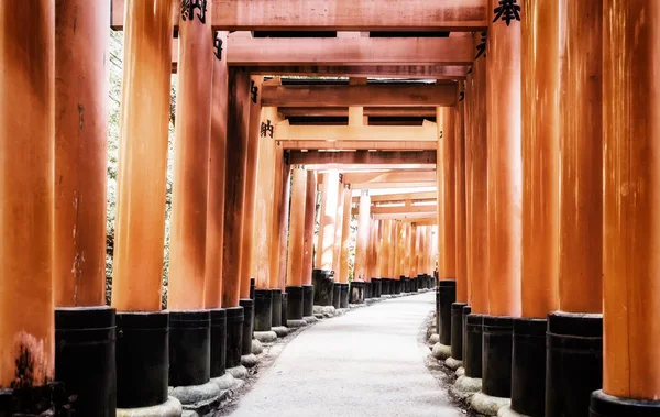 Fushimi Inari Taisha Santuário torii portões em Kyoto, Japão . — Fotografia de Stock