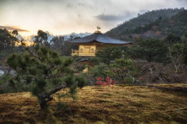 Kinkaku-ji, Altın Köşk, K ünlü Budist tapınağı