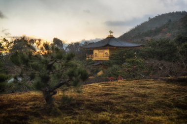 Kinkaku-ji, Altın Köşk, K ünlü Budist tapınağı