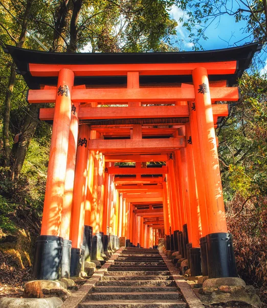 Torii Gates leder till yttre helgedom, Fushimi Inari Taisha — Stockfoto