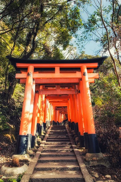 Torii Gates leder till yttre helgedom, Fushimi Inari Taisha — Stockfoto