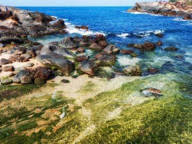 Yehliu Geopark, Wanli, Tayvan
