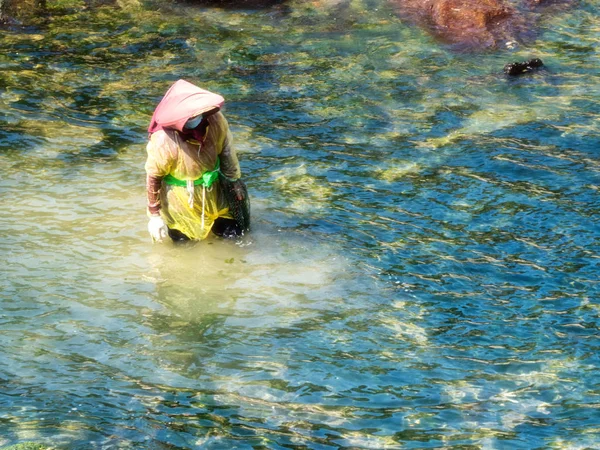 People Farming Oysters — Stock Photo, Image