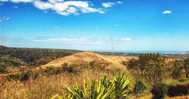 Madagascar landscape view clipart