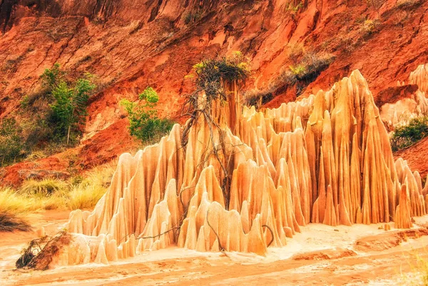 Detalhes de tsingy rouge em Madagascar — Fotografia de Stock