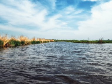 Hollanda Polder Sahnesi