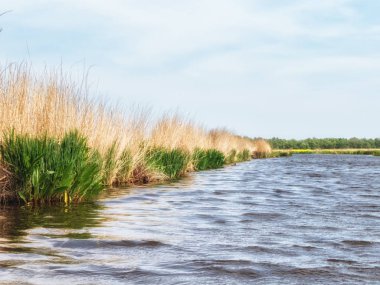 Hollanda Polder Sahnesi