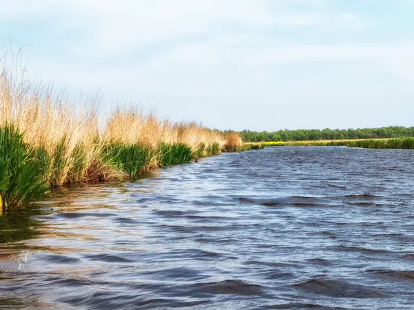 Hollanda Polder Sahnesi