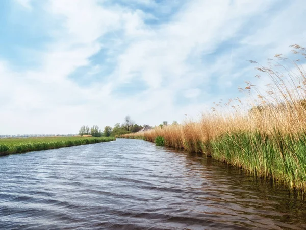 Hollanda Polder Sahnesi