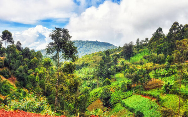 Rural landscapes in western Rwanda.